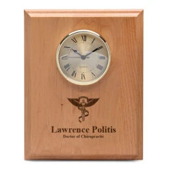 Chiropractor Theme Recognition Wall Plaque